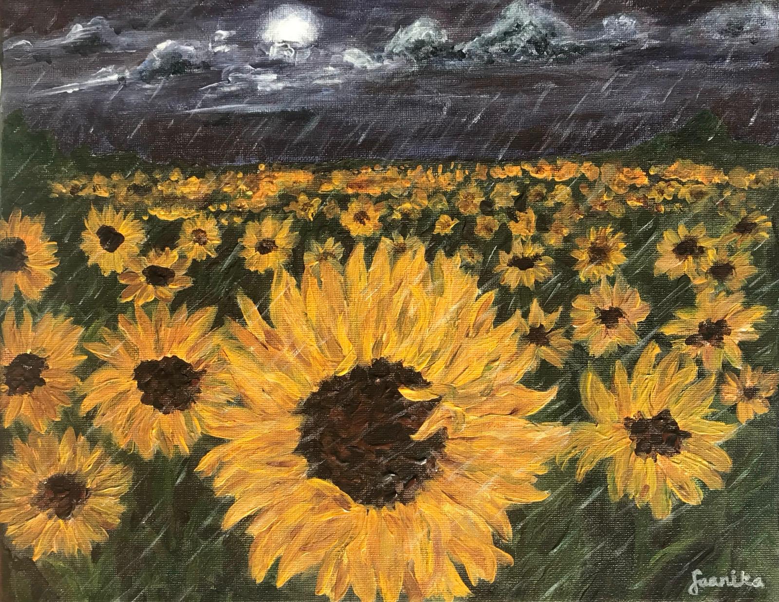 Sunflowers